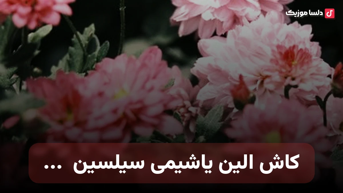 کاش الین یاشیمی سیلسین شبنم تووزلو